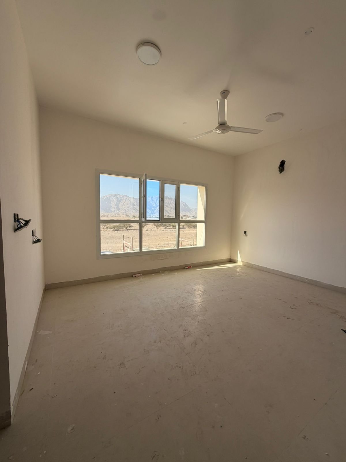 WhatsApp Image 2026-02-11 at 9.29.49 PM (1)